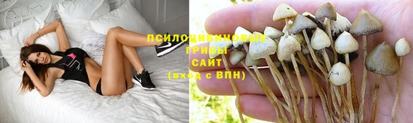 дмт Баксан