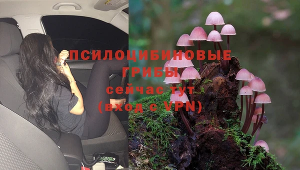 герыч Приозерск