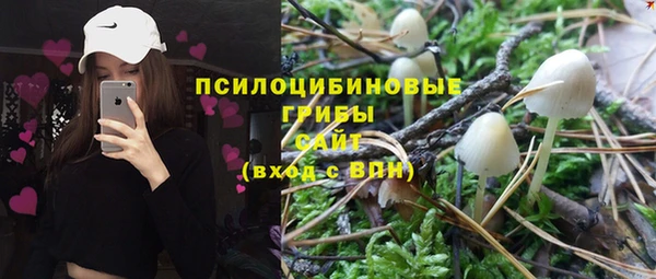 стафф Беломорск