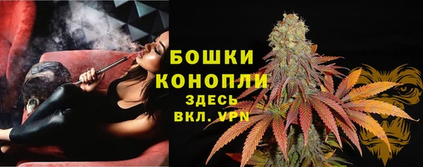 стаф Пролетарск